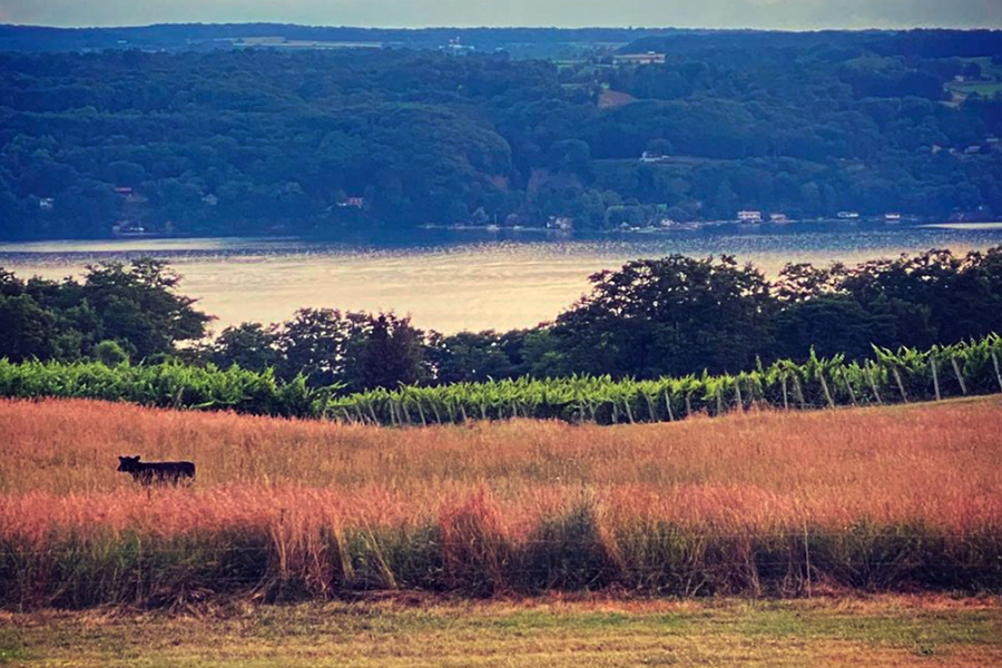 Farmland Landscape View and Seneca Lake